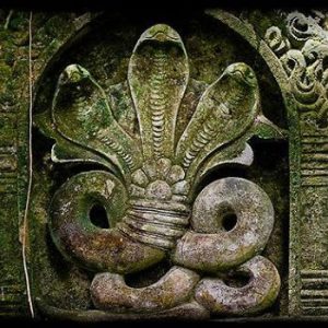 A temple with over 30,000 images of Snakes, established by Bhargavarama,Parashurama in Kerala